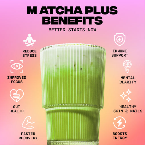 Matcha+ Starter Kit (30 Servings) - Daily Set